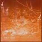 thumb_1467 (Medium).jpg